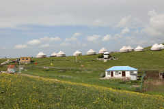 新疆龙吉锐旅游：探索新疆独特风情 全程保姆式服务引领非凡旅程