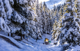 中旅景区市场强运营！缤雪欢乐季产品吸引冬游客群