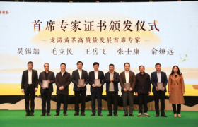 2025龙游黄茶茶商大会：汇聚行业力量，共促产业腾飞