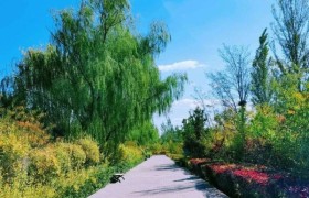 森淼生态旅游区