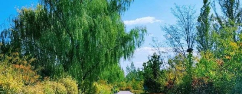 森淼生态旅游区
